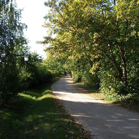Ferienhaus Am Klosterwald Dargun Luaran gambar