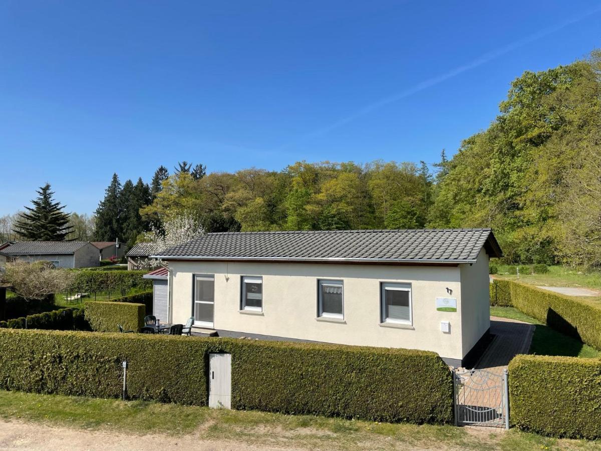 Ferienhaus Am Klosterwald Dargun Luaran gambar