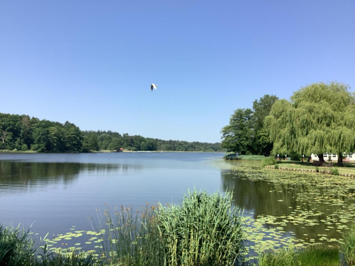 Ferienhaus Am Klosterwald Dargun Luaran gambar