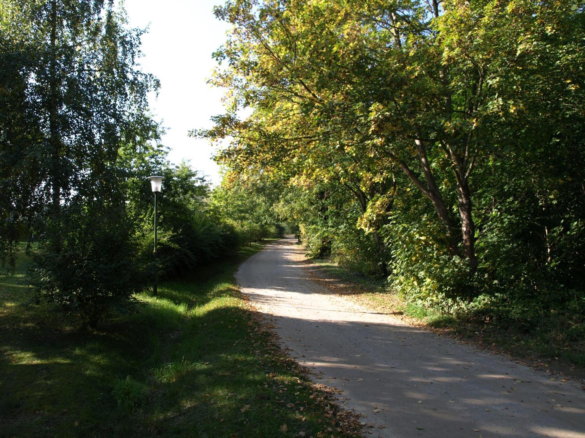 Ferienhaus Am Klosterwald Dargun Luaran gambar