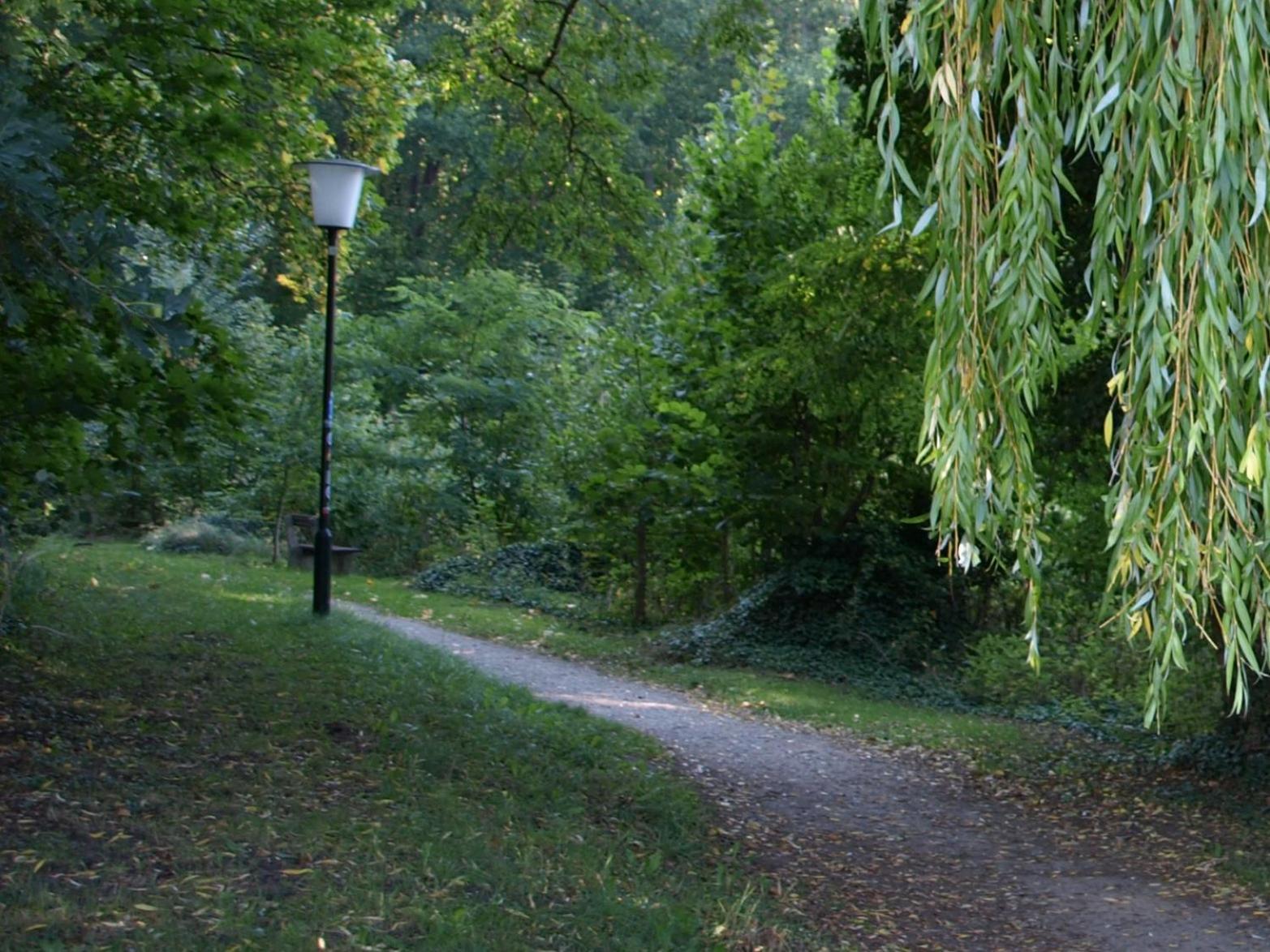 Ferienhaus Am Klosterwald Dargun Luaran gambar